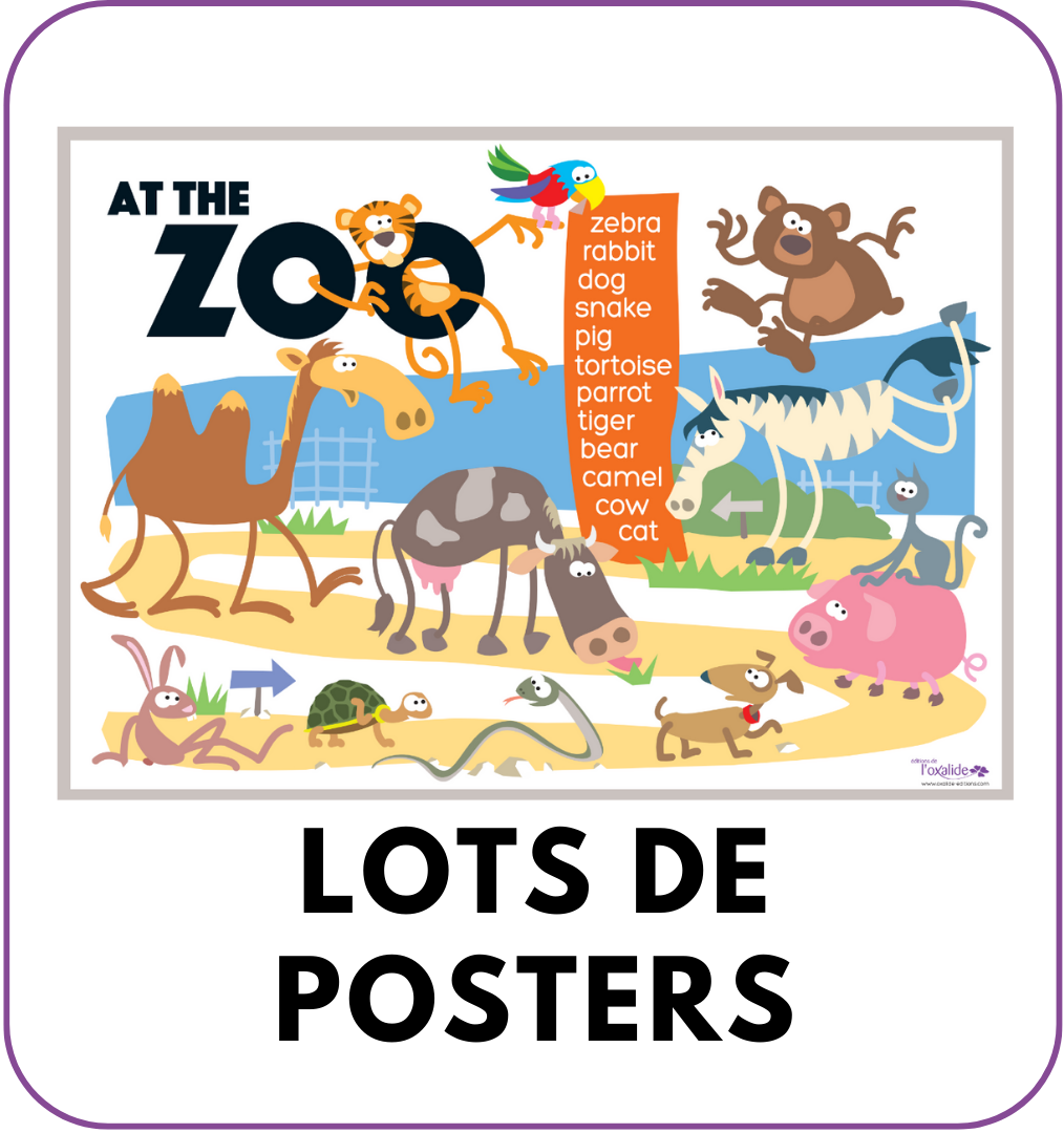 Lots de posters